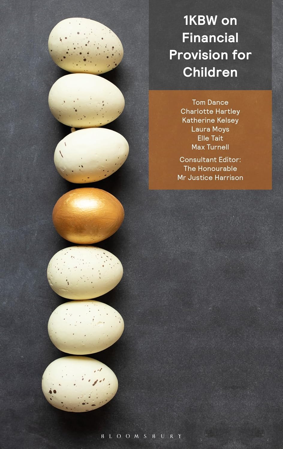 ler totalmente 1KBW on Financial Provision for Children (English Edition)