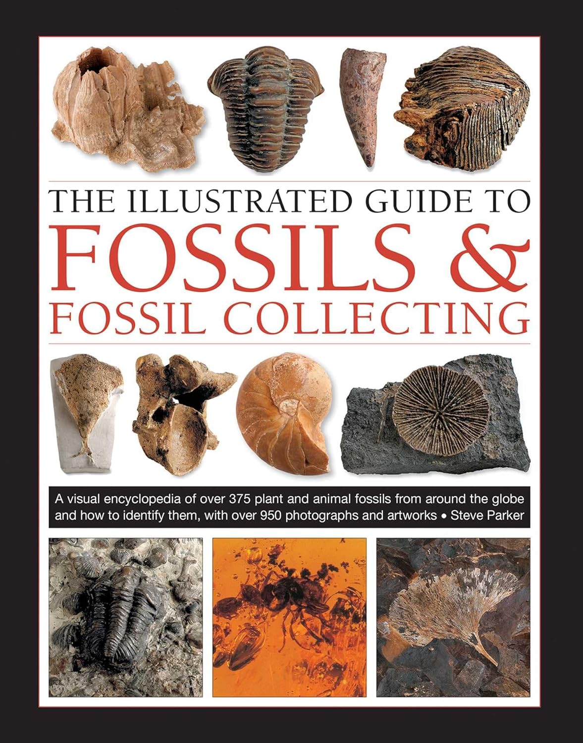 ler totalmente The Illustrated Guide to Fossils & Fossil Collecting: A Reference Guide to Over 375 Plant and Animal Fossils from Around the Globe and How to Identify Them, with Over 950 Photographs and Artworks