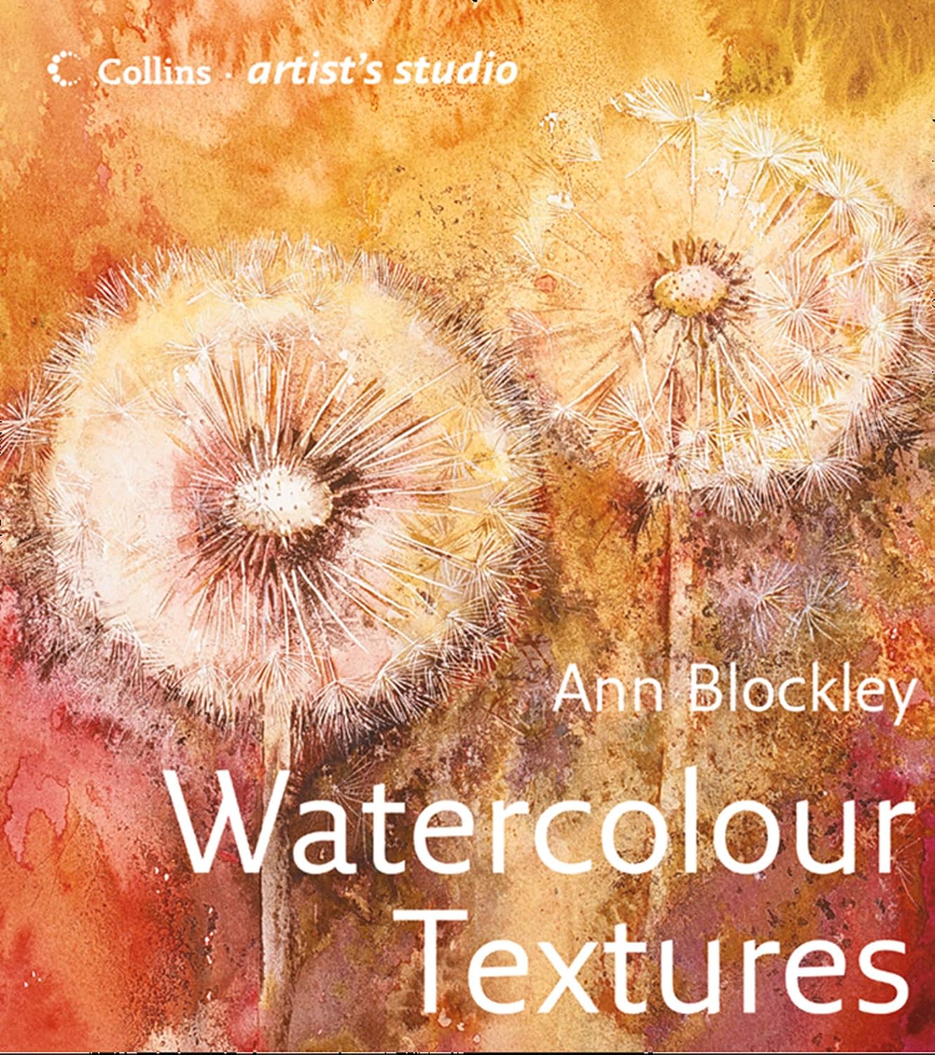 capítulo por capítulo baixar Watercolour Textures: An art guide from basic textures to advanced compositions (Collins Artist’s Studio) (English Edition)