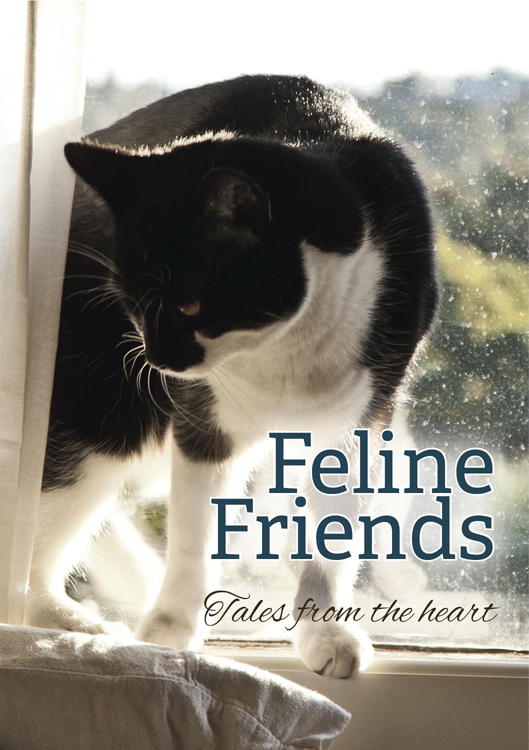 capítulo por capítulo baixar Feline Friends: Tales From the Heart