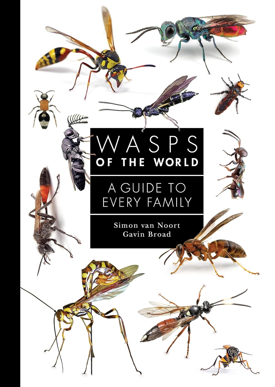 ler totalmente Wasps of the World: A Guide to Every Family: 8