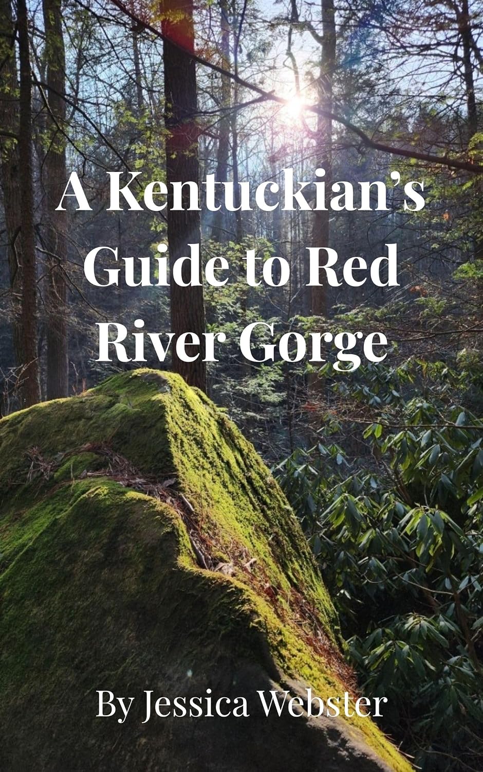 ler totalmente A Kentuckian's Guide To Red River Gorge: Discover 15 of the best (and most doable) Hikes Of Red River Gorge (English Edition)