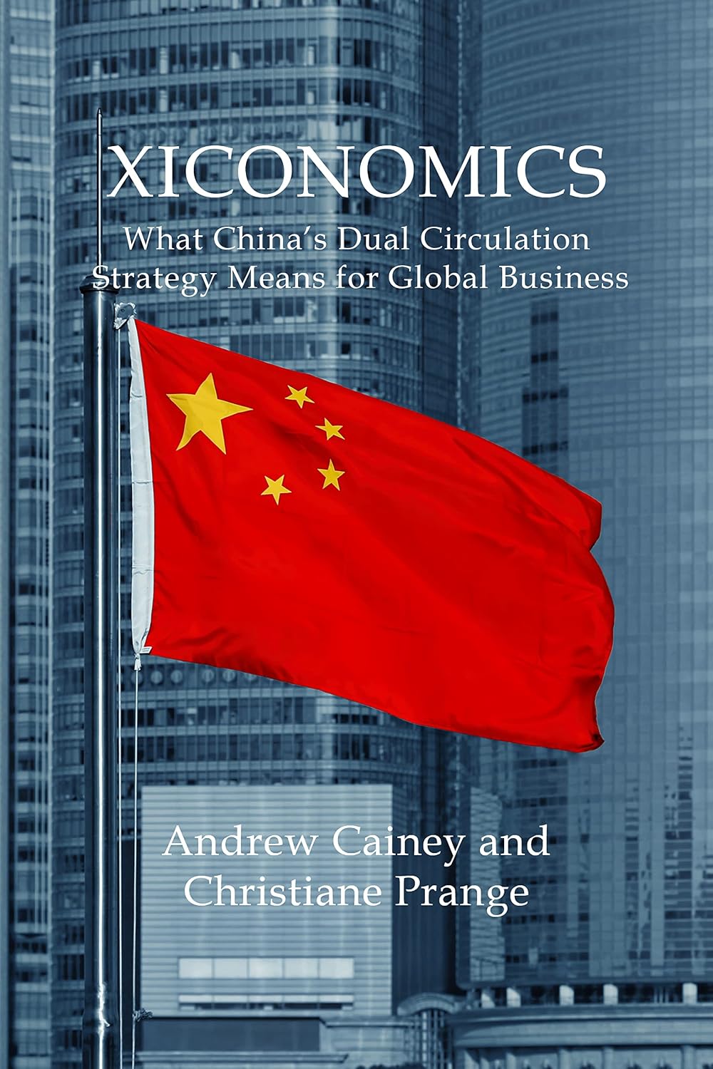 Xiconomics: What China's Dual Circulation Strategy Means for Global Business baixar livro de graça