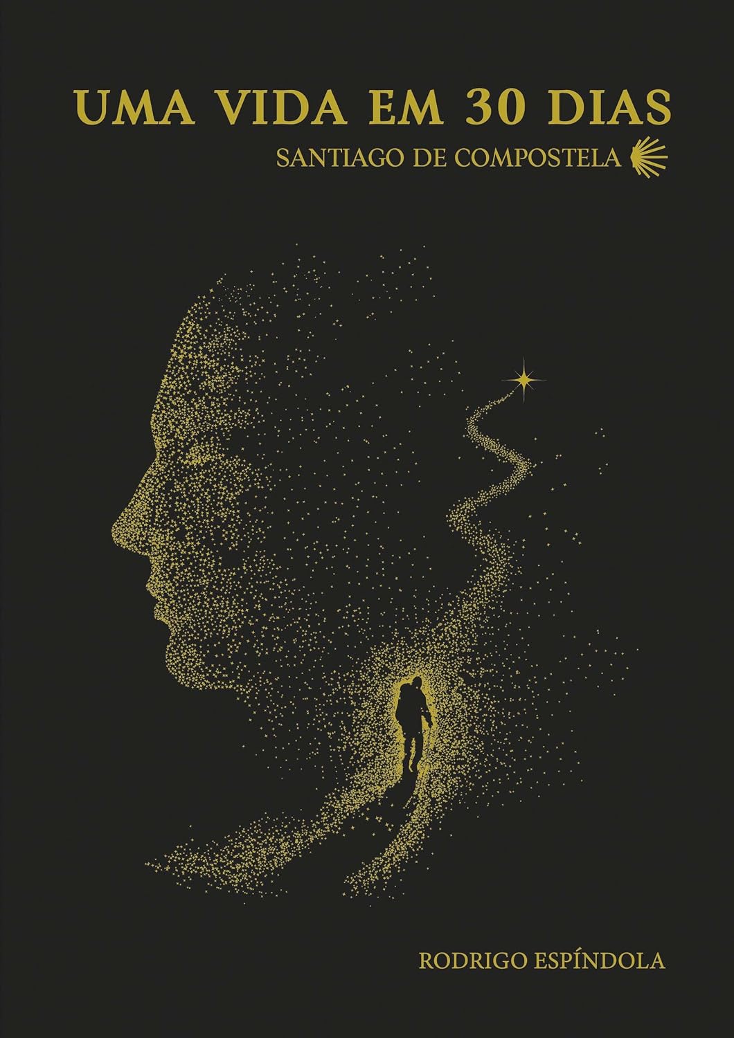 Uma Vida em 30 Dias - Santiago de Compostela: Santiago de Compostela baixar livro de graça