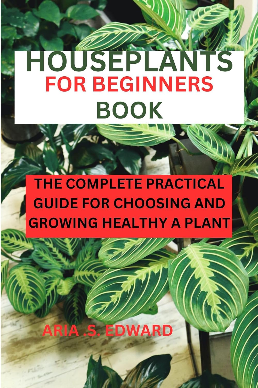HOUSEPLANTS FOR BEGINNERS BOOK: The complete practical guide for choosing and growing a healthy plant (English Edition) baixar livro de graça