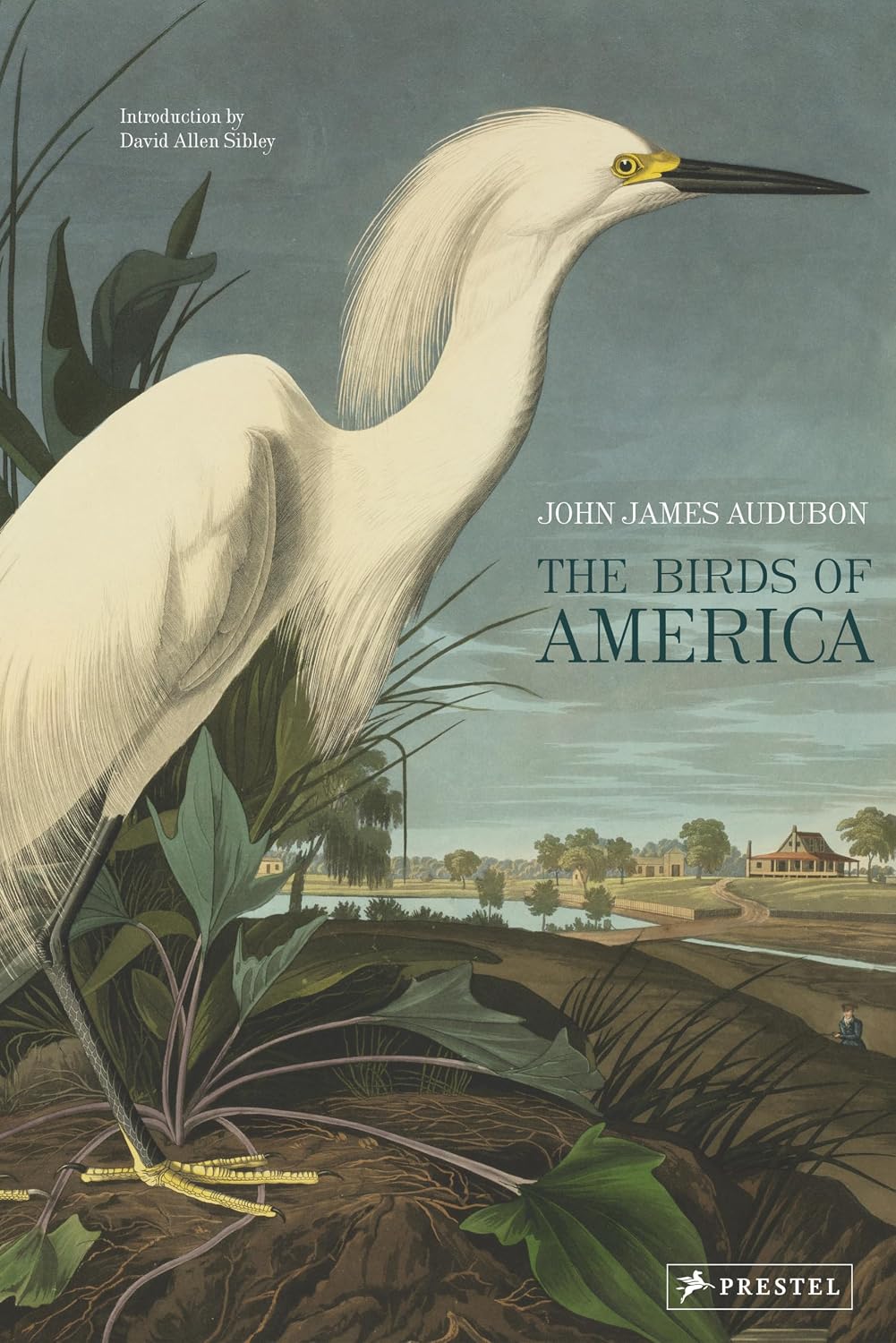 The Birds of America baixar livro de graça