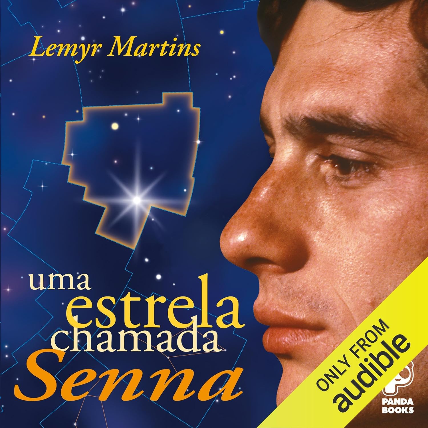 ler totalmente Uma estrela chamada Senna