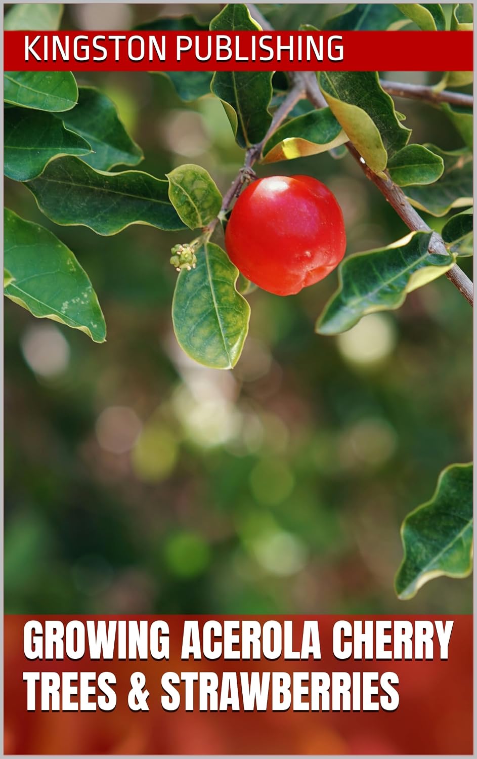 ler totalmente Growing Acerola Cherry Trees & Strawberries (Growing Sweet Fruits) (English Edition)