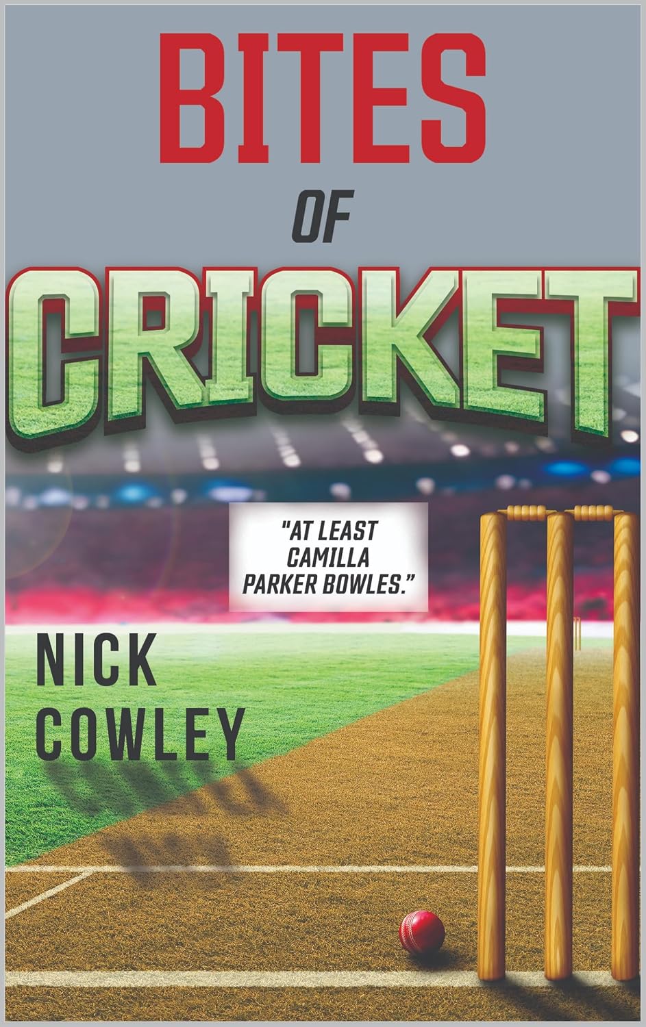 capítulo por capítulo baixar Bites of Cricket (English Edition)