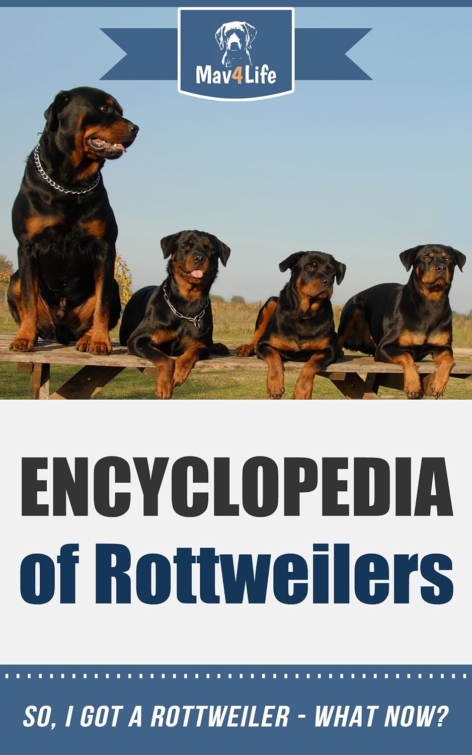 ler totalmente Encyclopedia of Rottweilers: So, I Got a Rottweiler What Now? (Mav4Life) (English Edition)