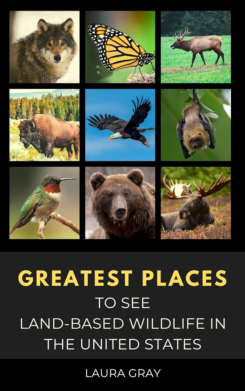 capítulo por capítulo baixar Greatest Places to See Land-Based Wildlife: Bats, Bears, Bison, California Condor, Eagle, Elk, Humming Bird, Monarch Butterfly, Moose, Prairie Dog, Synchronous... Caribbean Series Book 395) (English Edition)