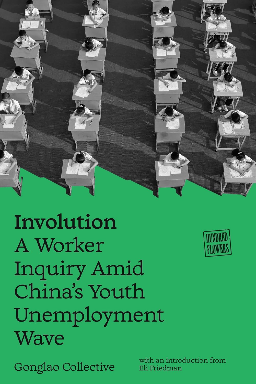 Involution: A Worker Inquiry Amid China's Youth Unemployment Wave (Hundred Flowers Book 1) (English Edition) baixar livro de graça