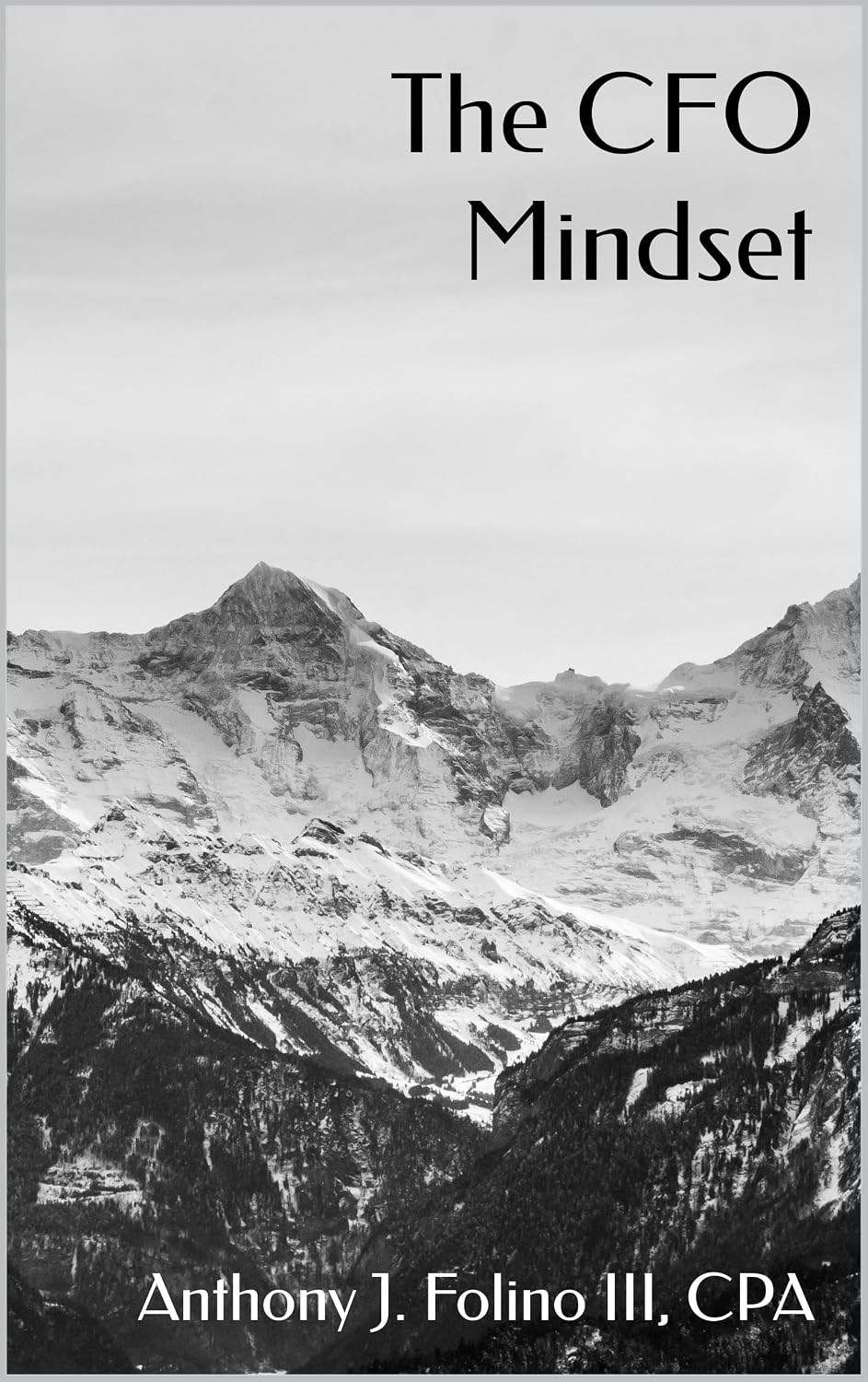 ler totalmente The CFO Mindset: Think, Lead, and Operate Like a Top Financial Executive (Fountainhead Three University Book 6) (English Edition)