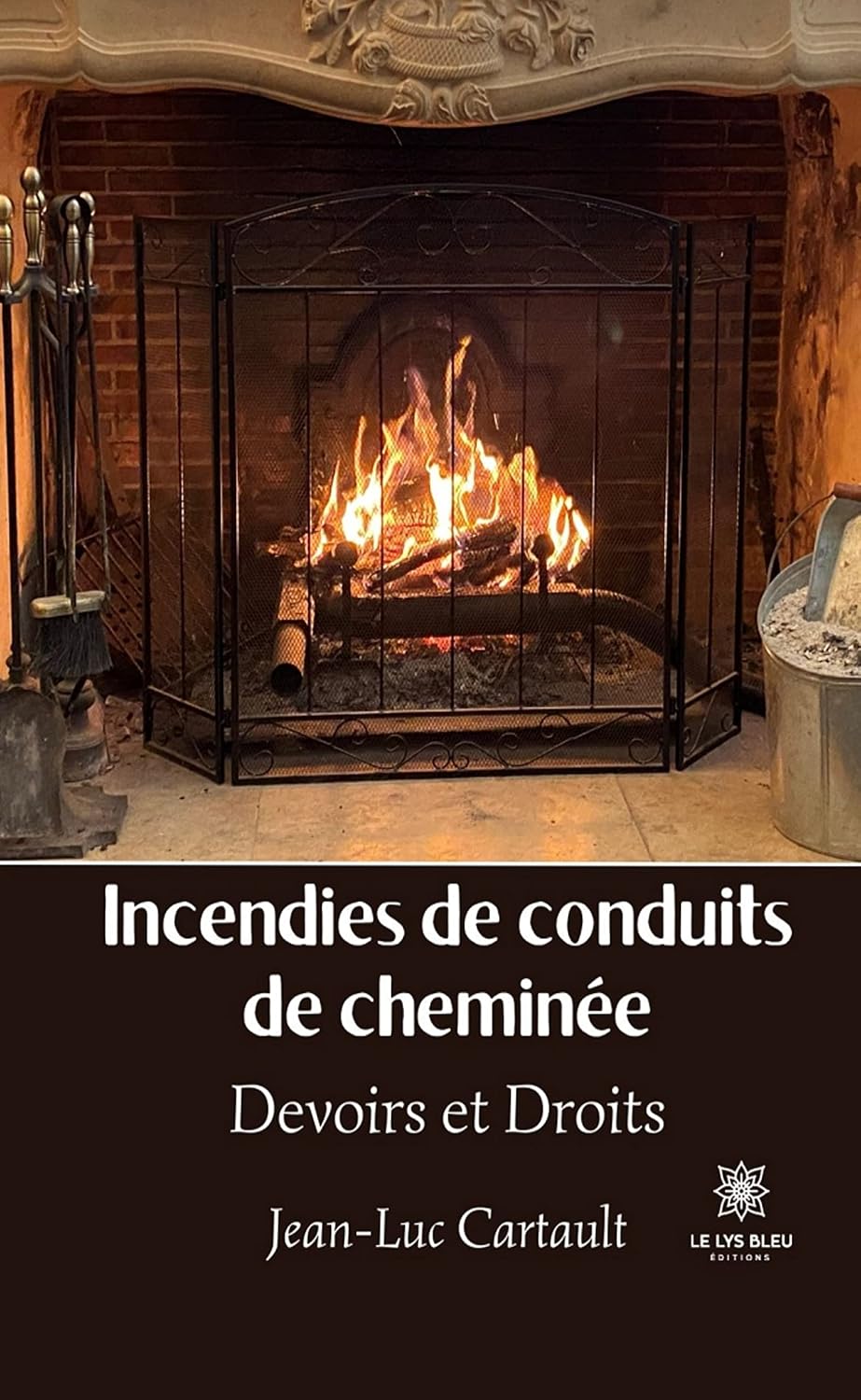 Incendies de conduits de cheminée: Devoirs et Droits (French Edition) baixar o livro de graça