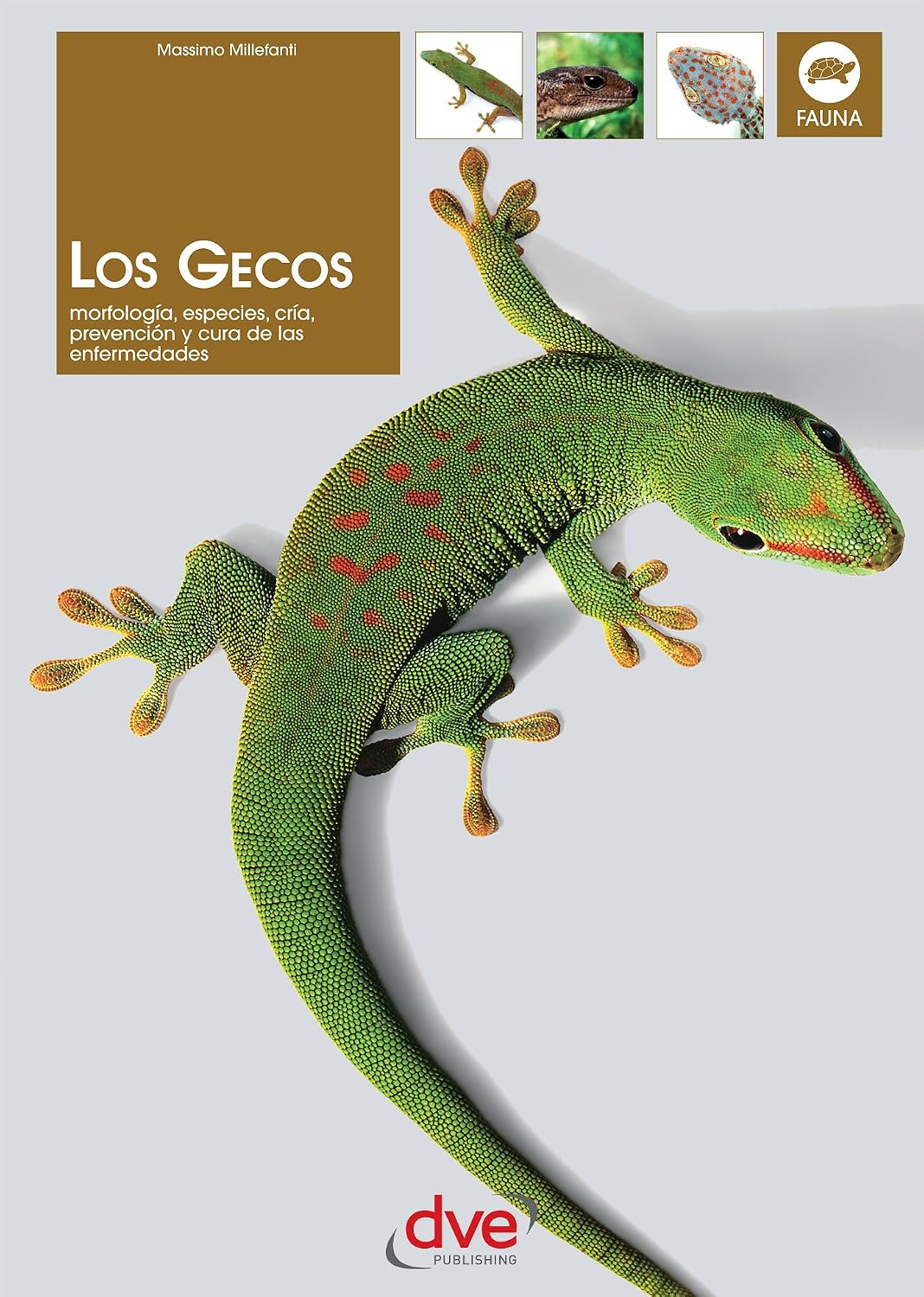 Los gecos (Spanish Edition) baixar o livro de graça