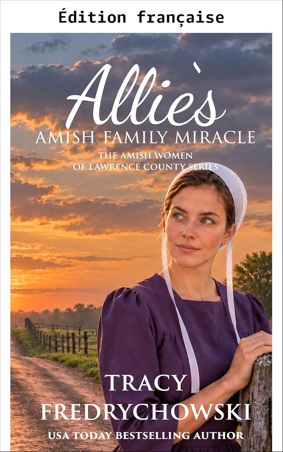 capítulo por capítulo baixar Le miracle de la famille amish d'Allie (Les femmes amish de Lawrence County t. 5) (French Edition)