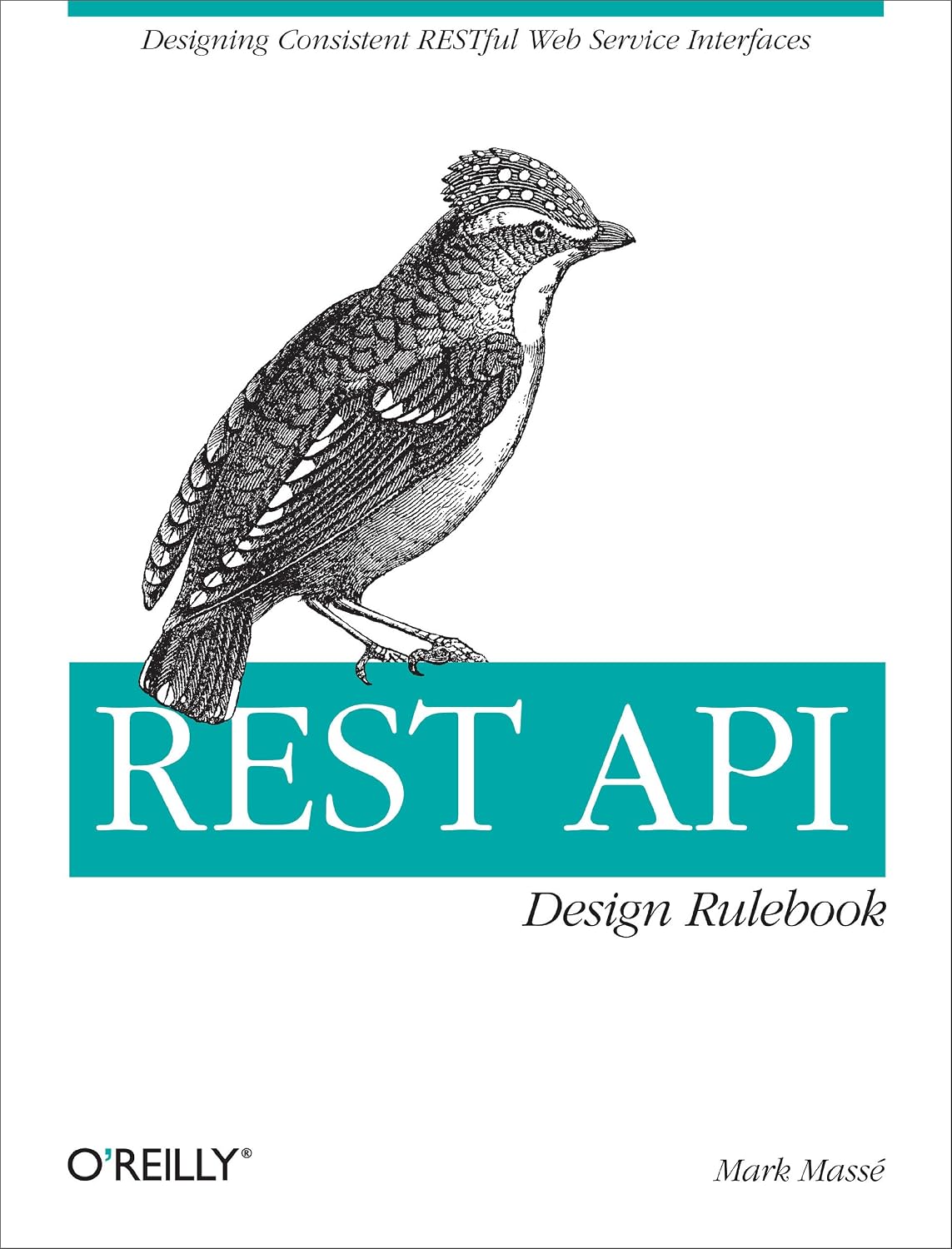 ler totalmente REST API Design Rulebook: Designing Consistent RESTful Web Service Interfaces (English Edition)