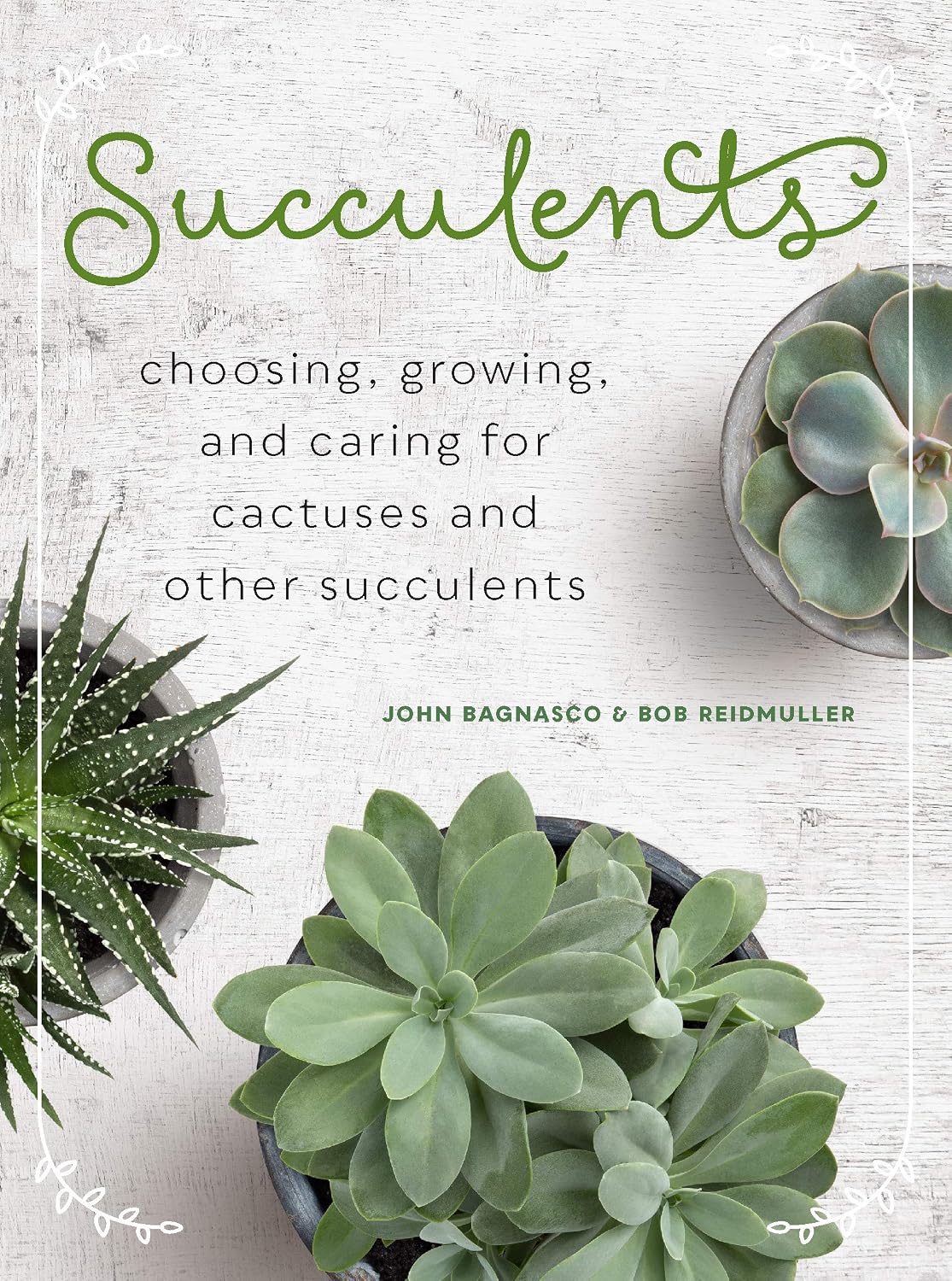 Succulents: Choosing, Growing, and Caring for Cactuses and other Succulents (English Edition)