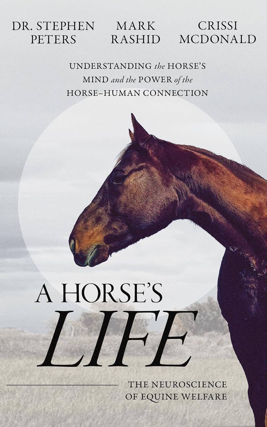 capítulo por capítulo baixar A Horse's Life: The Neuroscience of Equine Welfare (English Edition)