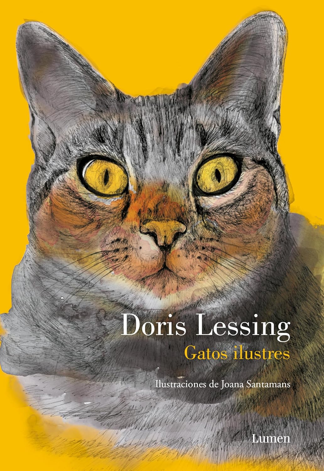 Gatos ilustres (Spanish Edition)