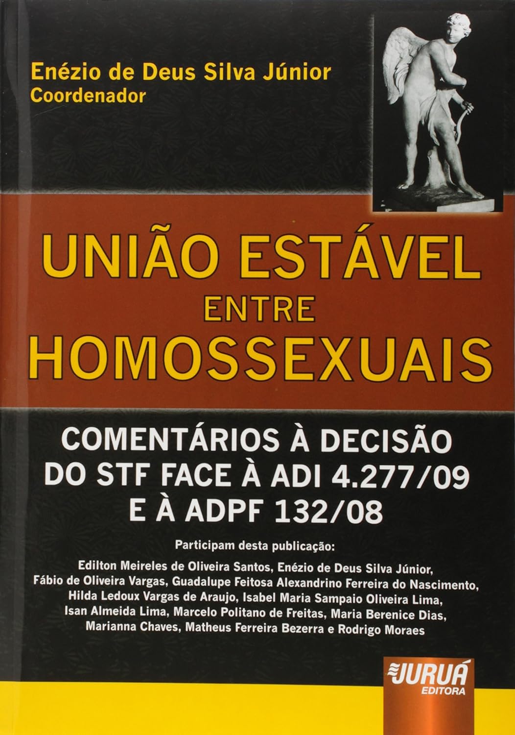 União Estável entre Homossexuais: Comentários à Decisão do STF face à ADI 4.277/09 e à ADPF 132/08 baixar livro de graça