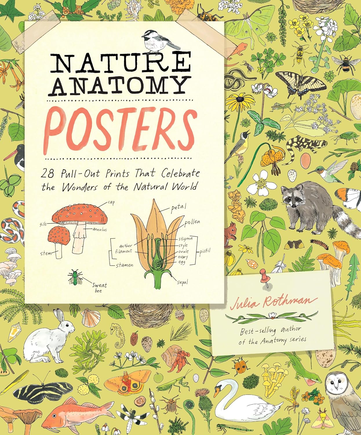Nature Anatomy Posters: 28 Pull-Out Prints That Celebrate the Wonders of the Natural World baixar livro de graça