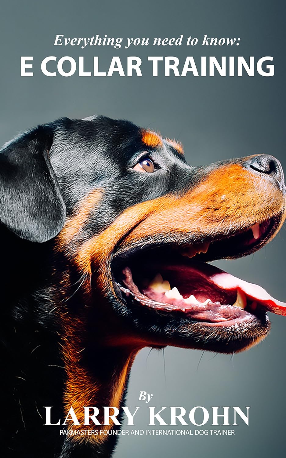 ler totalmente Everything you need to know about E Collar Training (English Edition)