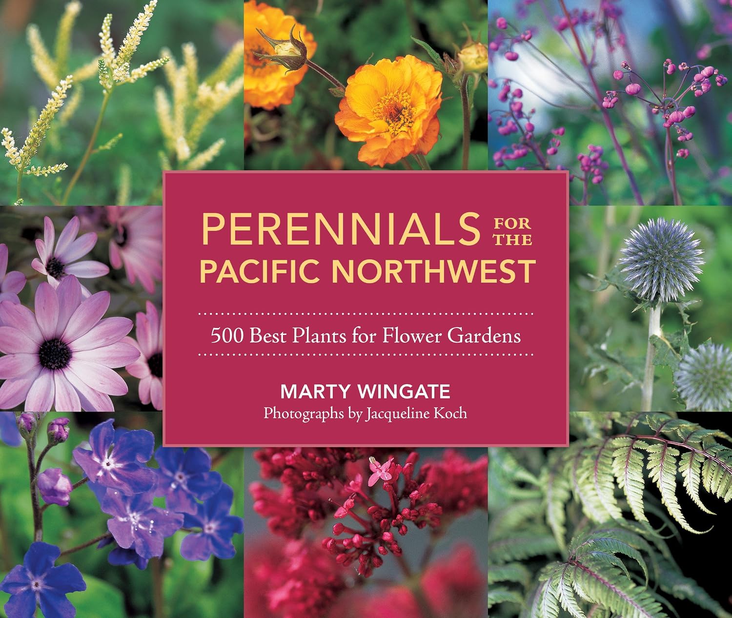 Perennials for the Pacific Northwest: 500 Best Plants for Flower Gardens (English Edition) baixar livro de graça