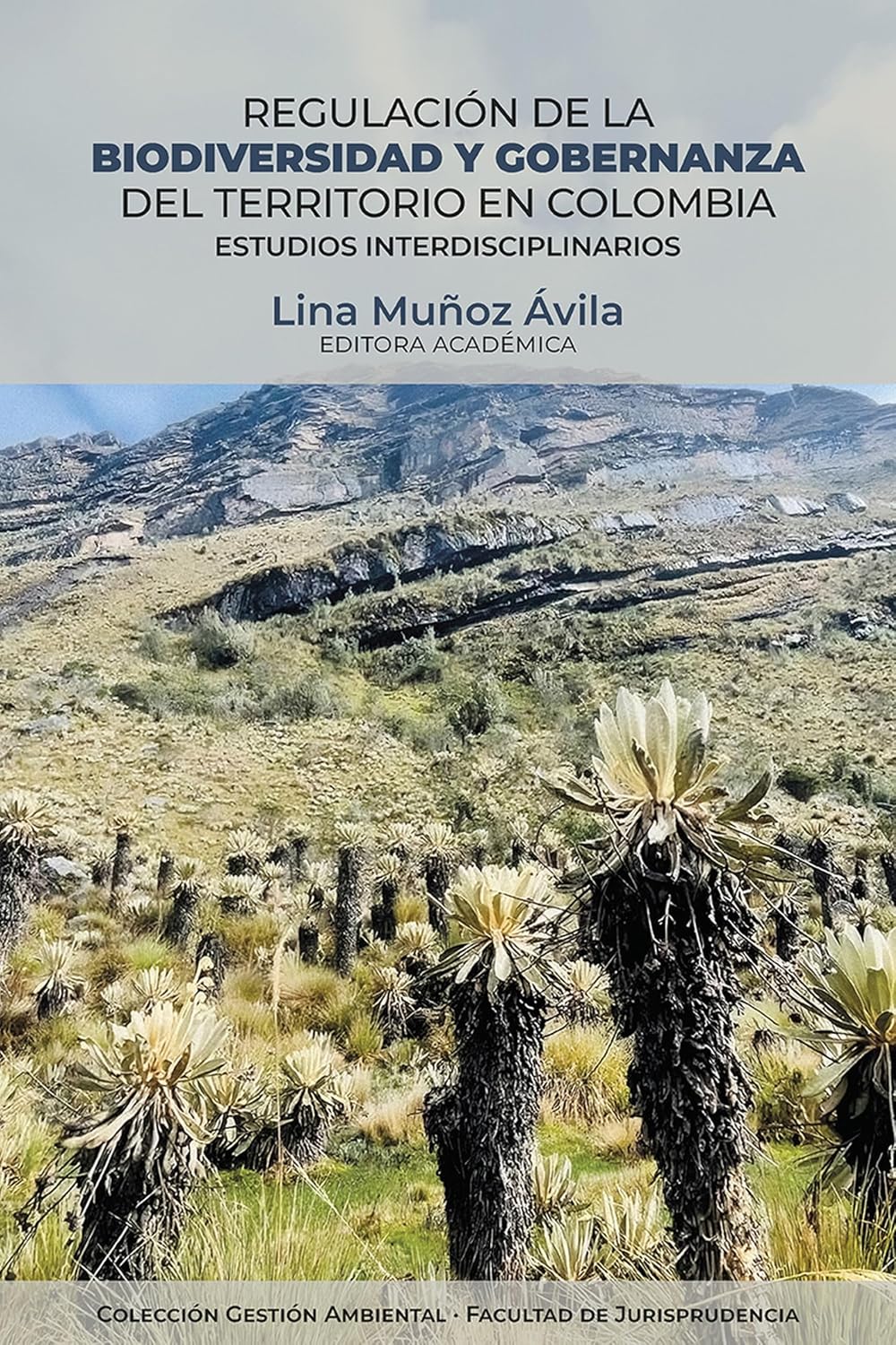 Regulación de la biodiversidad y gobernanza del territorio en Colombia: Estudios interdisciplinarios (Jurisprudencia) (Spanish Edition) baixar o livro de graça