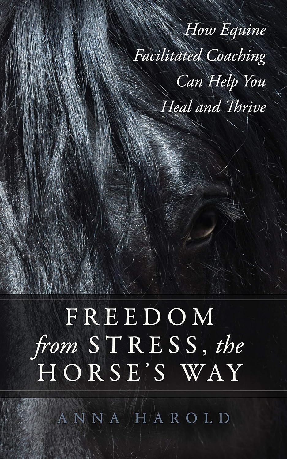 Freedom from Stress, the Horse's Way: How Equine Facilitated Coaching Can Help You Heal and Thrive (English Edition)
