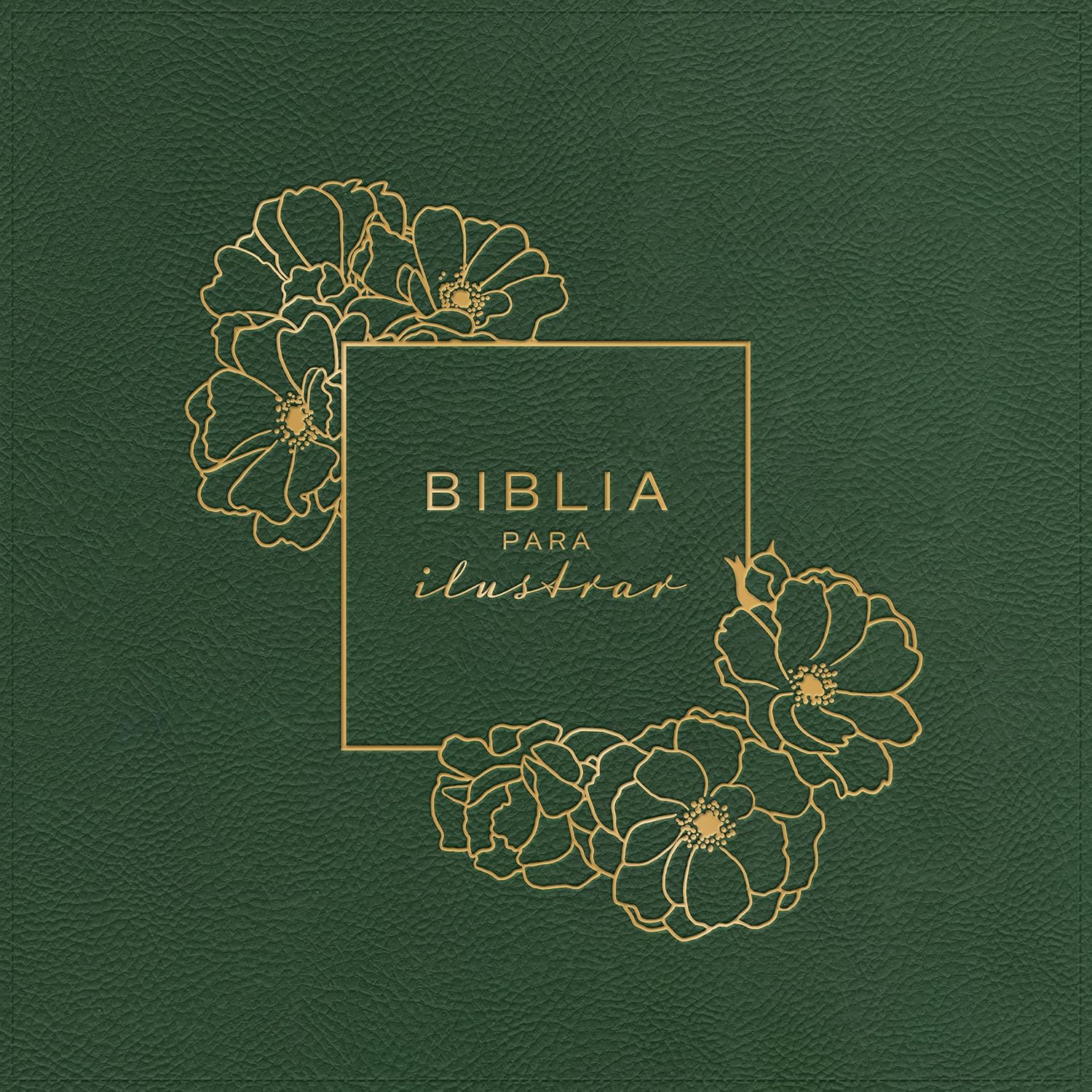 Rvr 1960 Biblia Para Ilustrar, Verde Símil Piel: Rvr 1960 Biblia Para Ilustrar, Verde Símil Piel/ Illustrate Bible, Green Imitation Leather baixar livro de graça