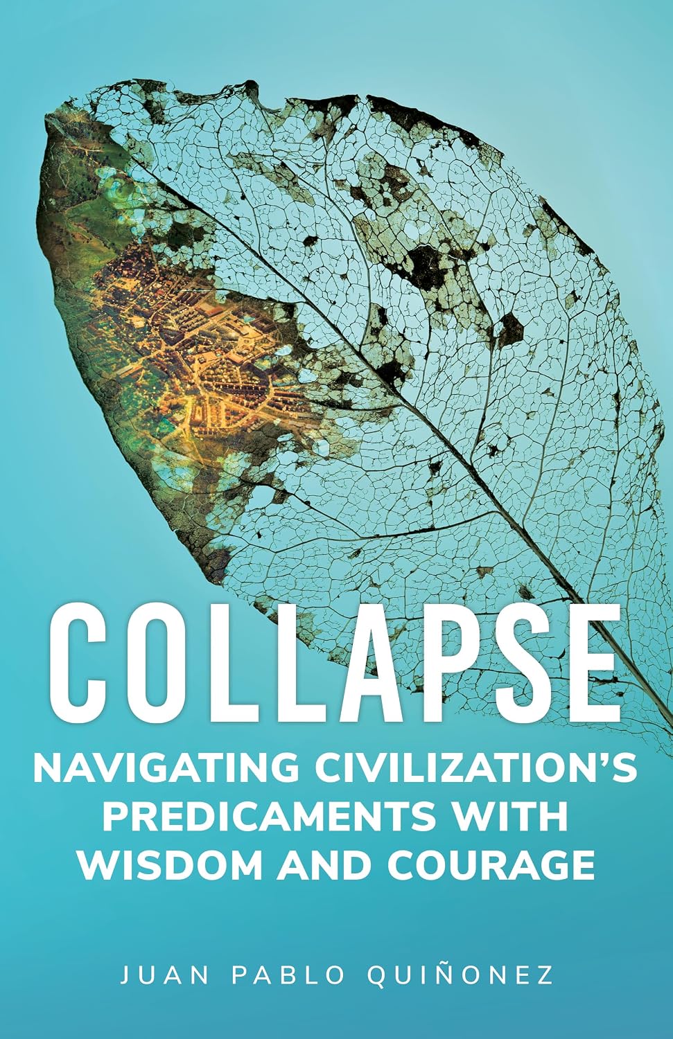 Collapse: Navigating Civilization's Predicaments With Wisdom and Courage (English Edition) baixar livro de graça
