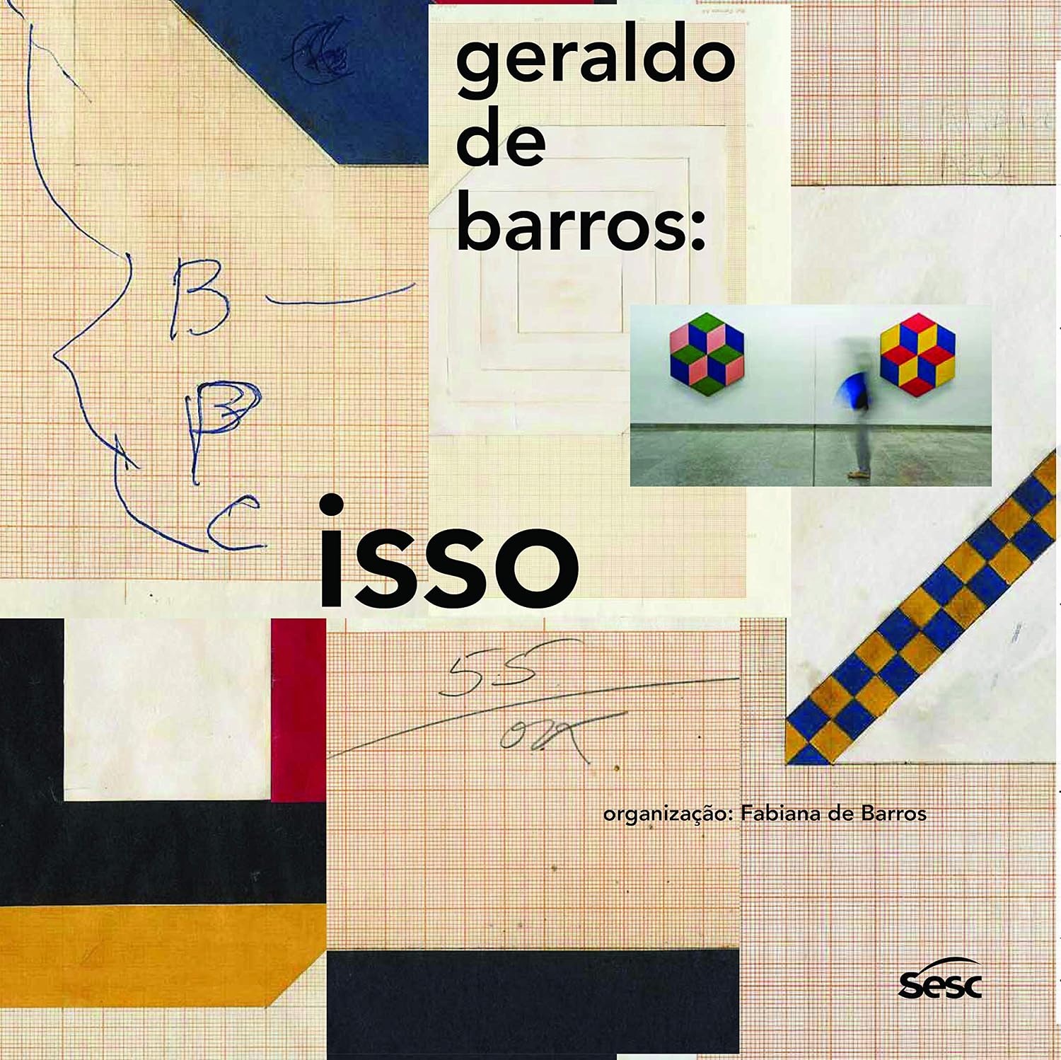 ler totalmente Geraldo de Barros: isso