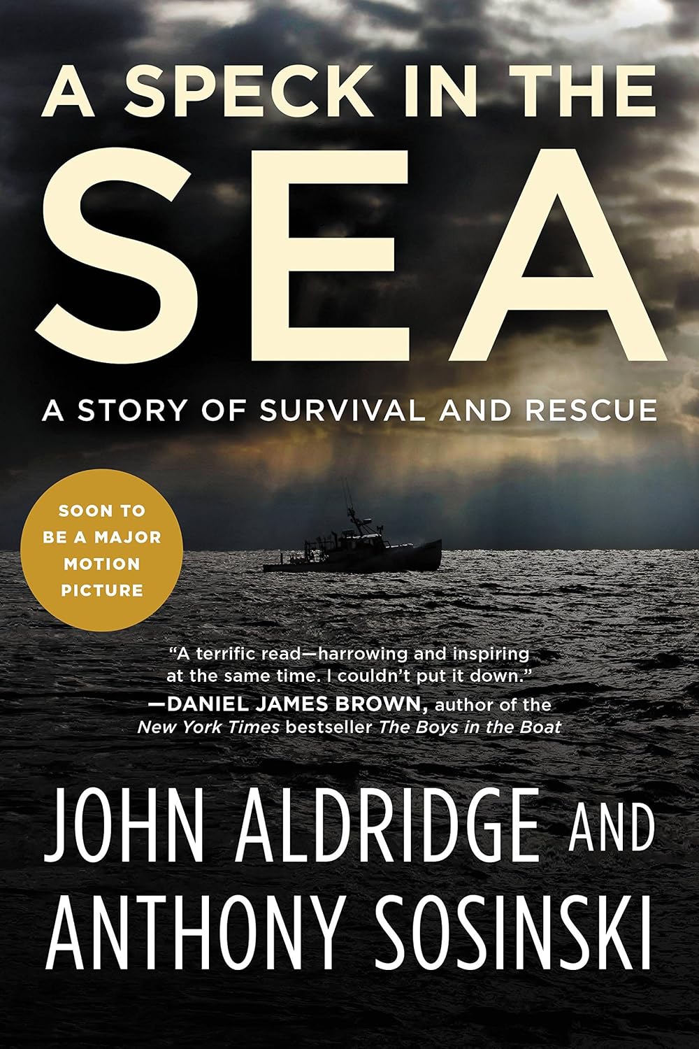 A Speck in the Sea: A Story of Survival and Rescue baixar o livro de graça