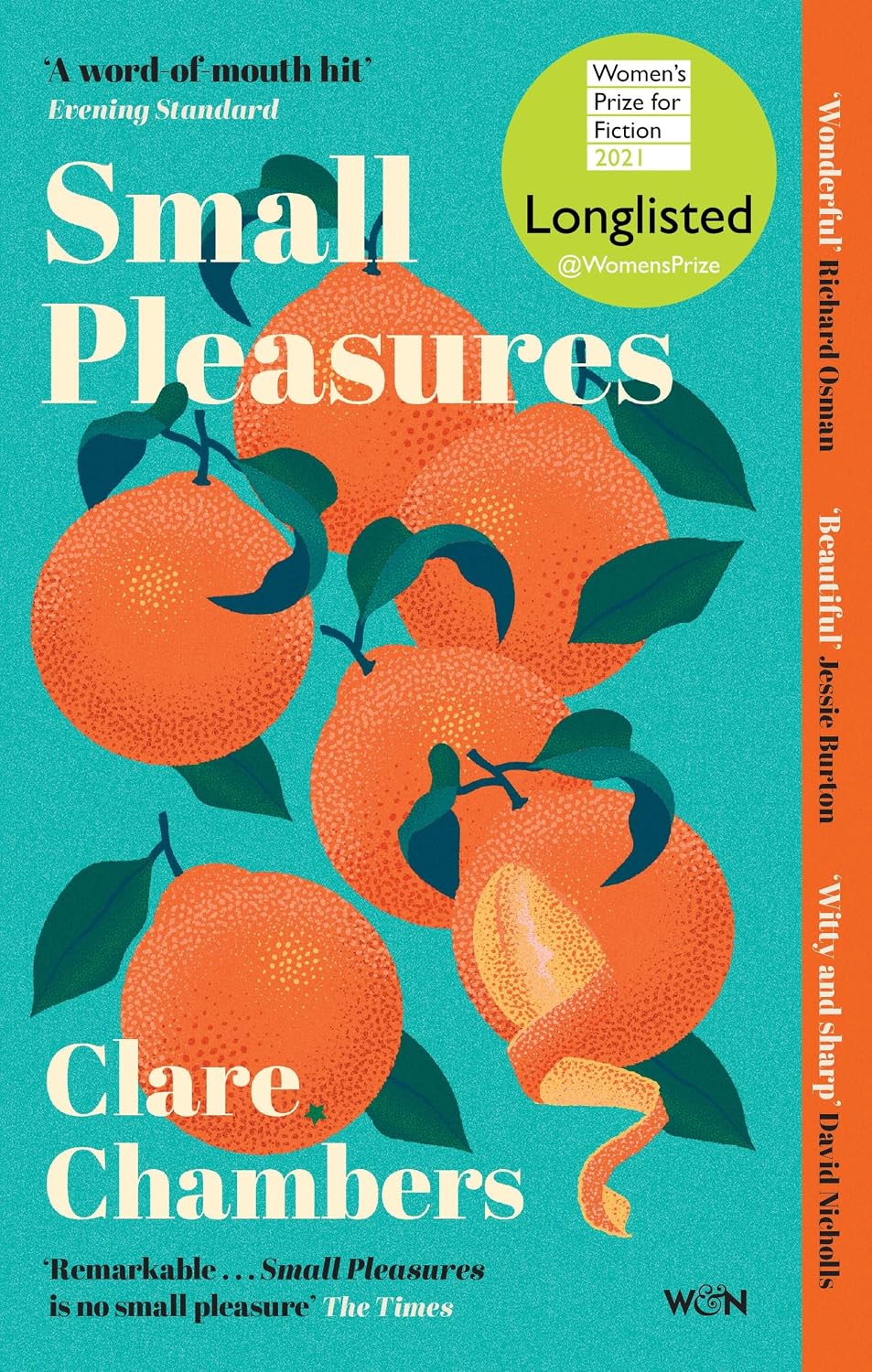 Small Pleasures: Longlisted for the Women's Prize for Fiction (English Edition) baixar livro de graça
