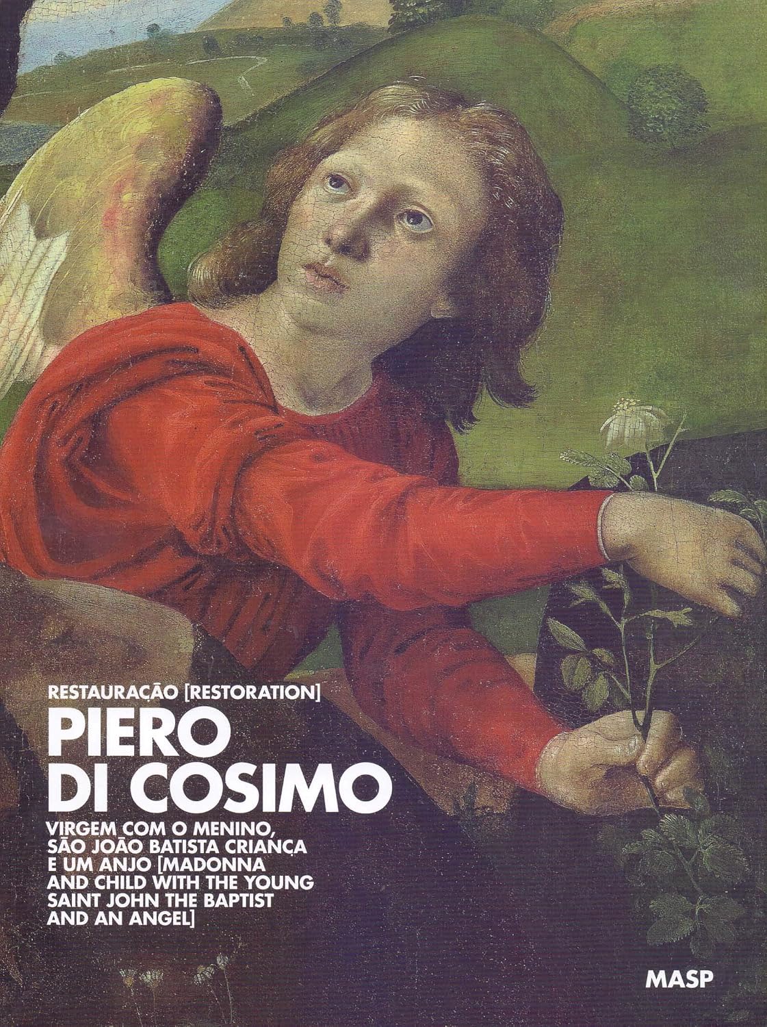 Piero Di Cosimo: Restauração [Restoration]: Virgem com o menino, São João Batista criança e um anjo [Madonna and child with the young Saint John the Baptist and an angel] baixar o livro de graça