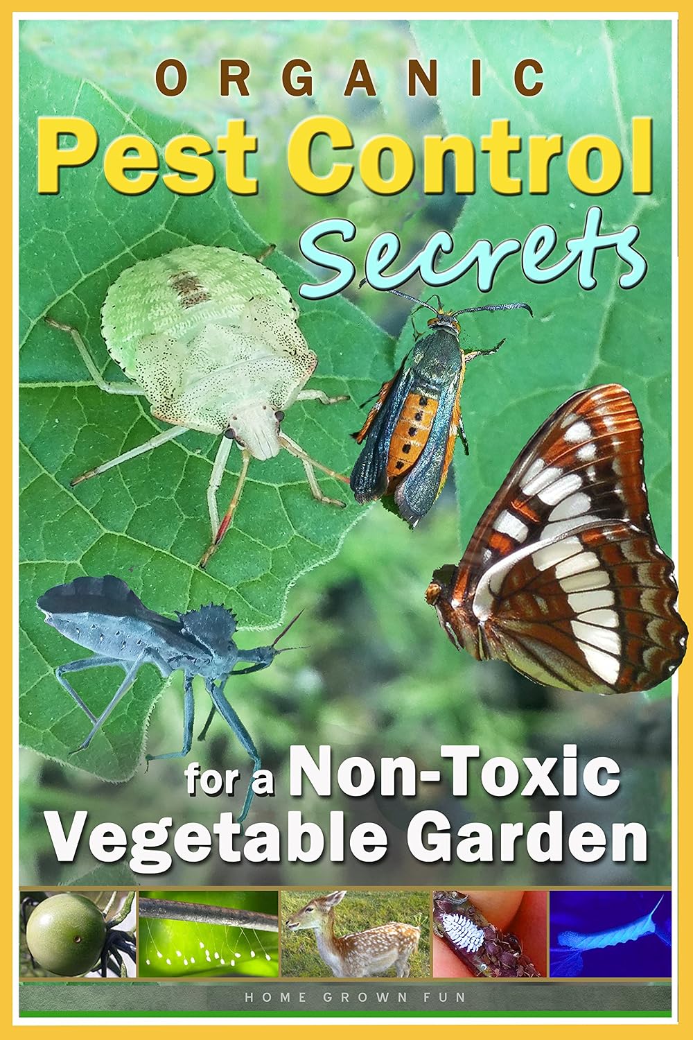 ler totalmente Organic Pest Control Secrets for a Non-Toxic Vegetable Garden: Get Up Close and Personal with Many Fascinating Beneficial Insects and Garden Pests (Home... Fun™ Garden Series Book 3) (English Edition)
