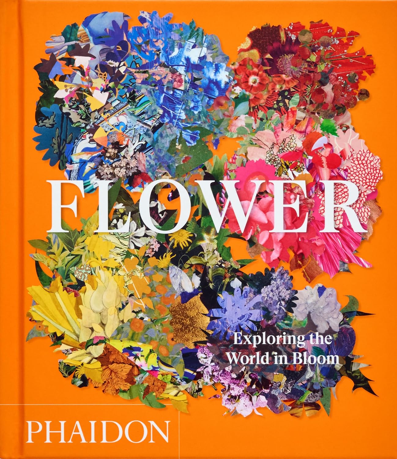 Flower: Exploring the World in Bloom, Compact Format baixar o livro de graça