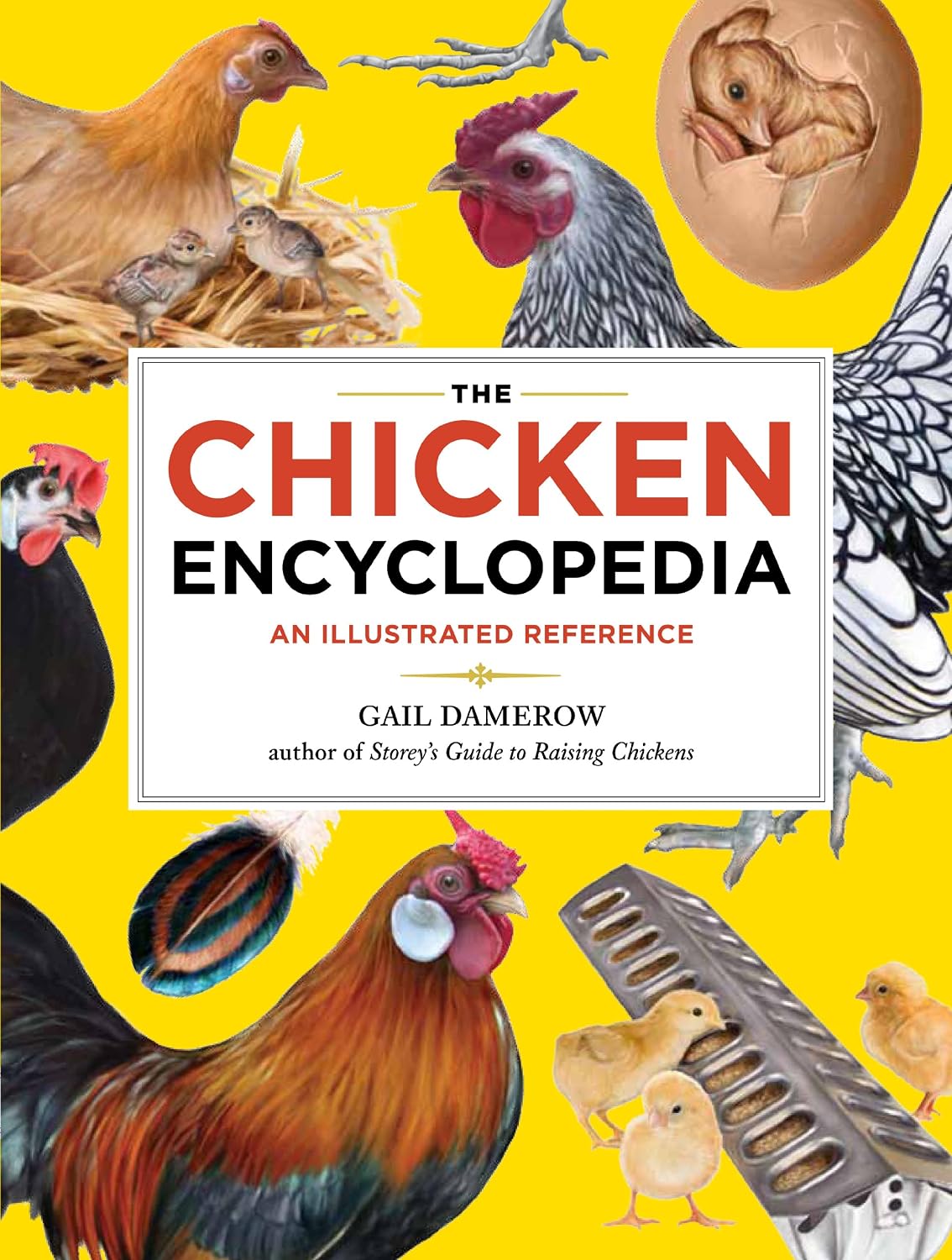The Chicken Encyclopedia: An Illustrated Reference baixar livro de graça