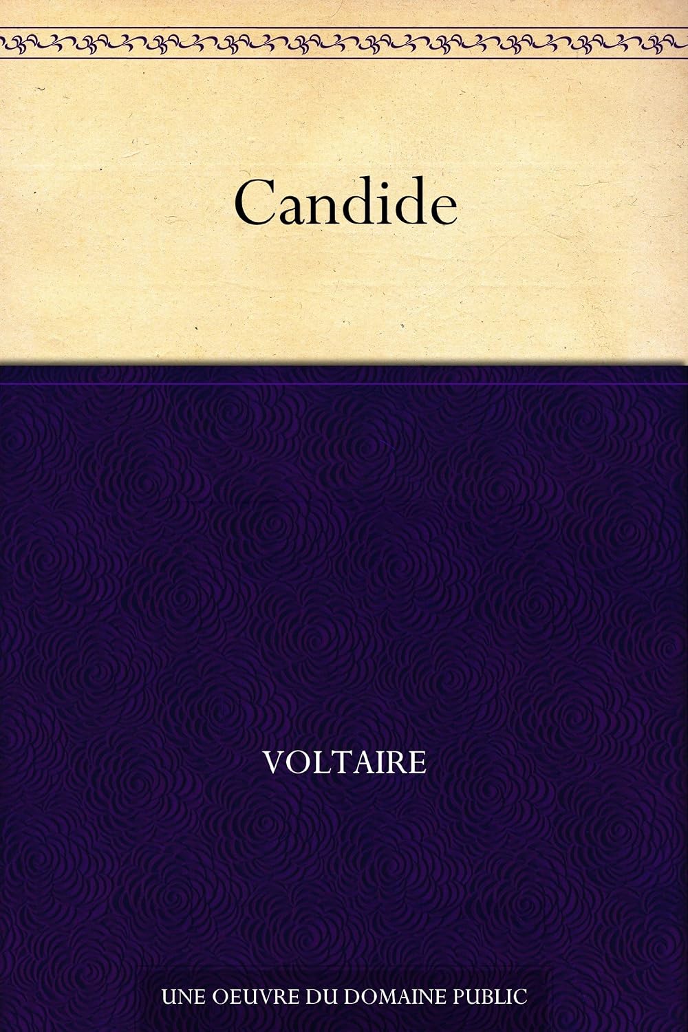 capítulo por capítulo baixar Candide (French Edition)