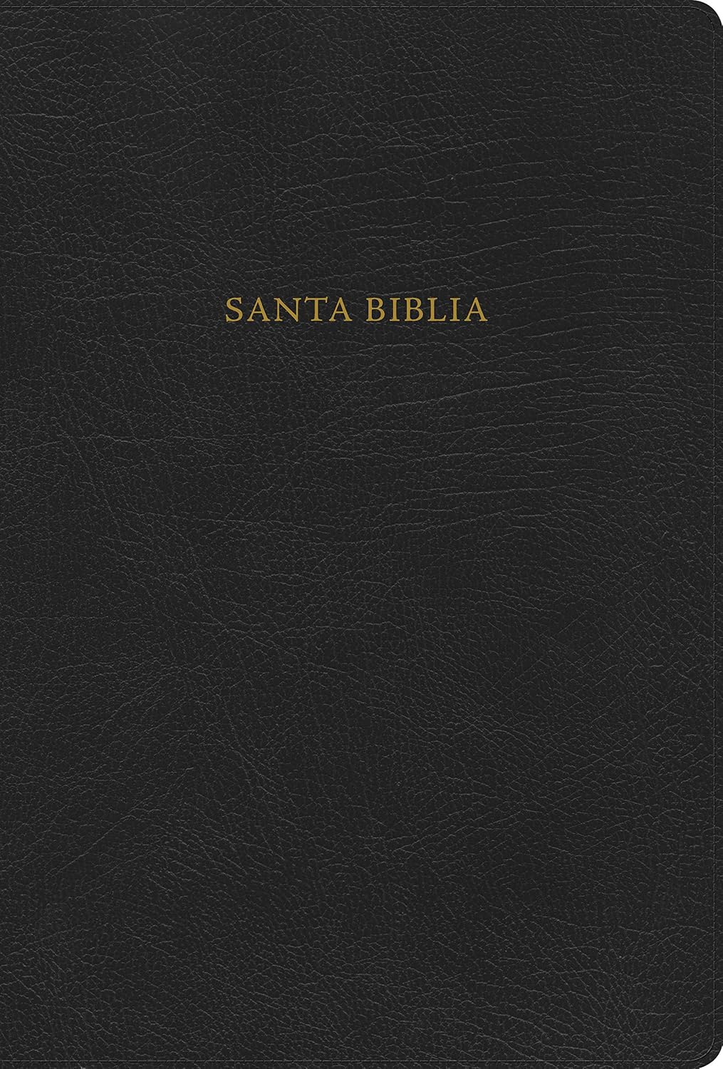 Nueva Biblia de Estudio Scofield-RV 1960: Version Ampliada Reina-Valera 1690, Black Bonded Leather baixar livro de graça