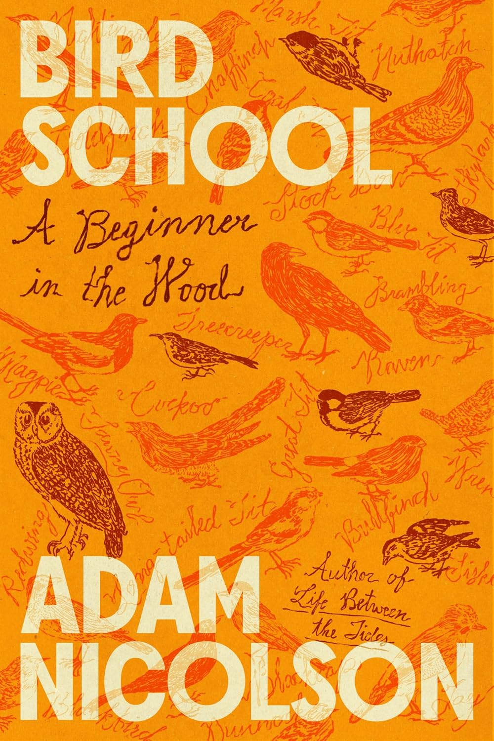 Bird School: A Beginner in the Wood baixar livro de graça