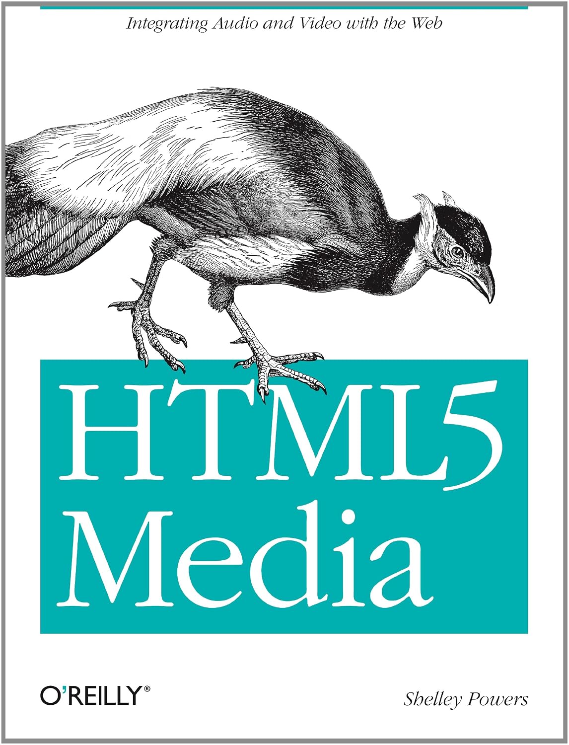 HTML5 Media: Integrating Audio and Video with the Web (English Edition) baixar livro de graça