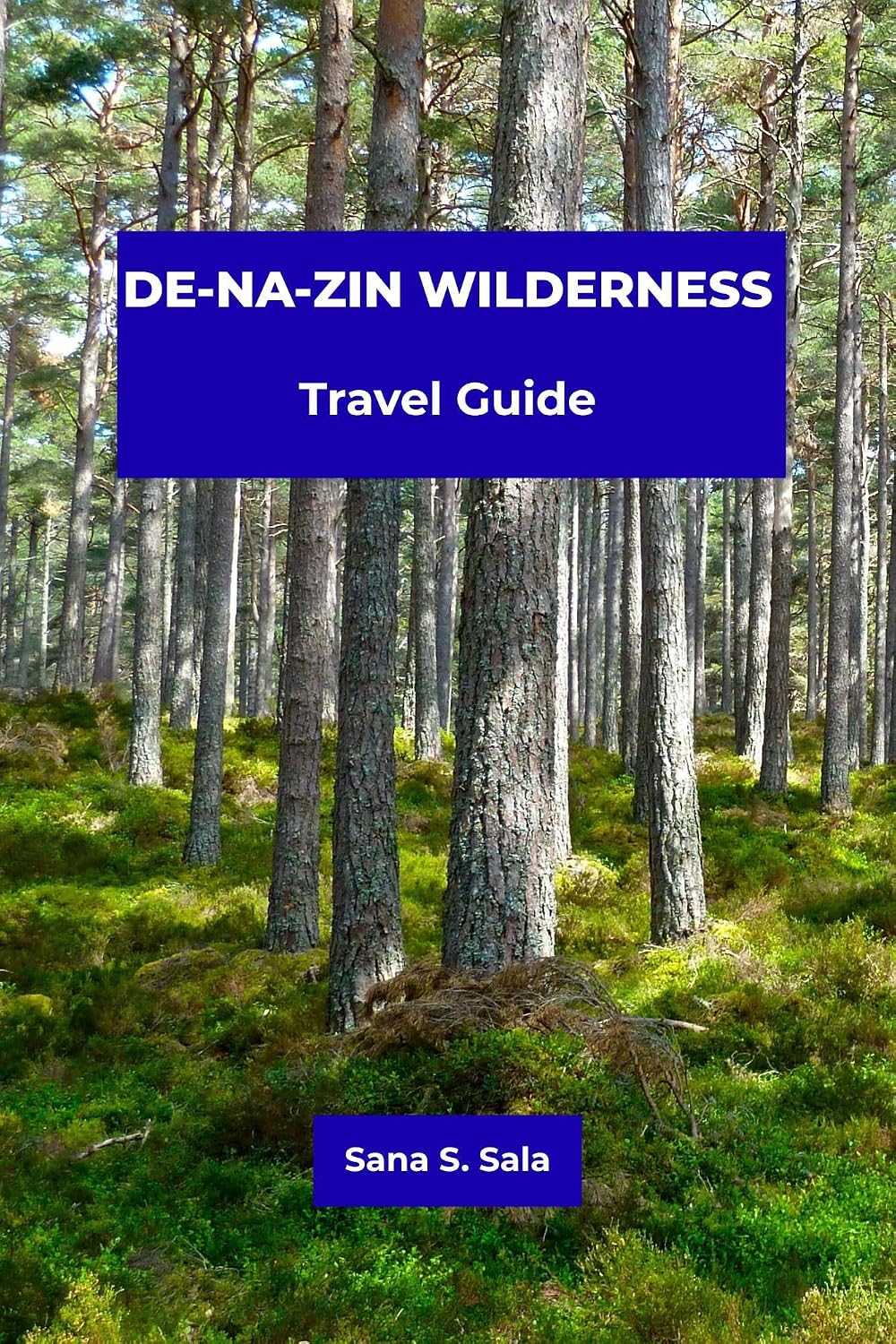 DE-NA-ZIN WILDERNESS TRAVEL GUIDE: Complete Hiking, Photography, Camping, and Navigation Guide to Hoodoos, Petrified Wood, Fossils, and Hidden Wonders in Northwestern New Mexico (English Edition) baixar livro de graça
