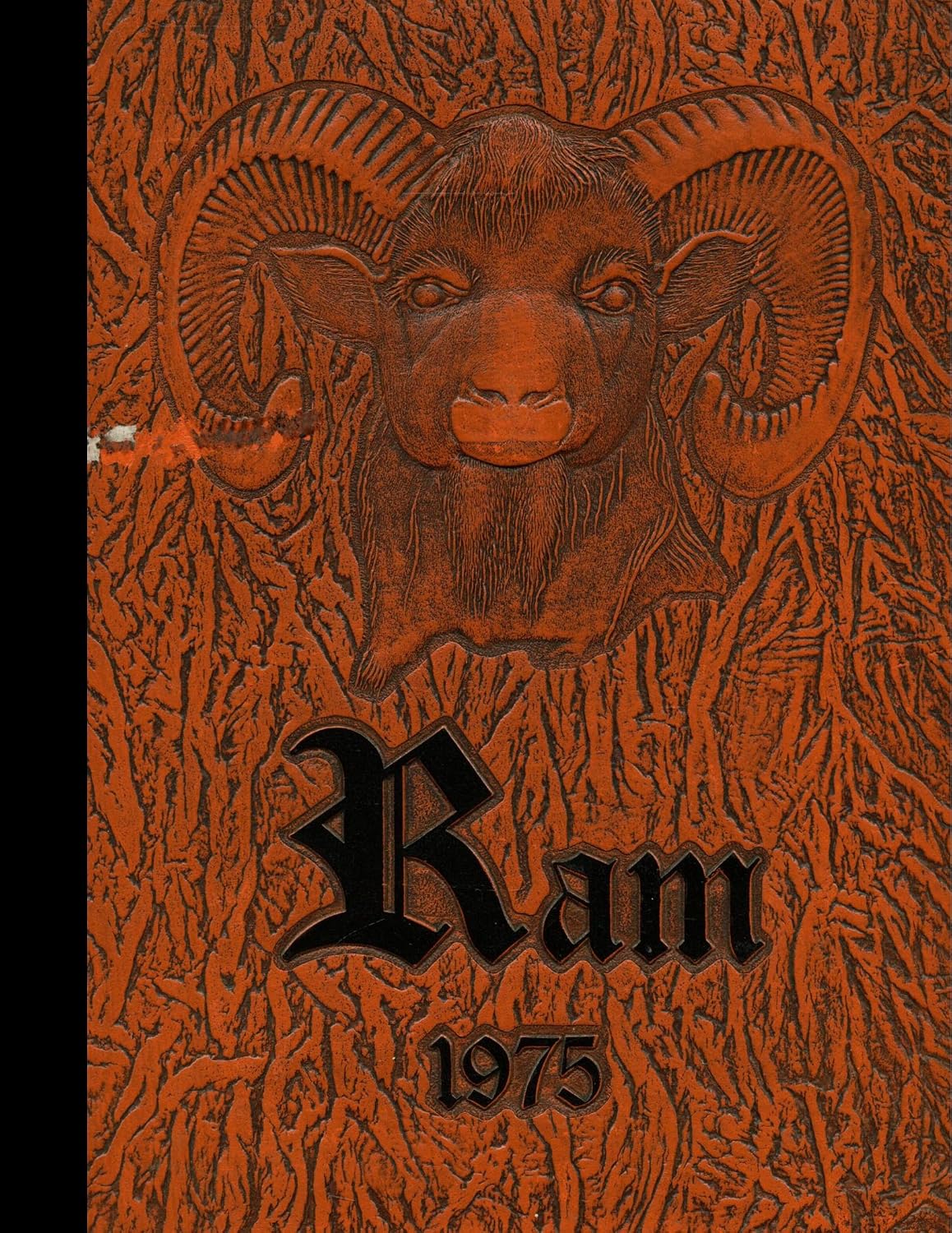 (Reprint) 1975 Yearbook: Madison High School, Madison, Tennessee baixar o livro de graça