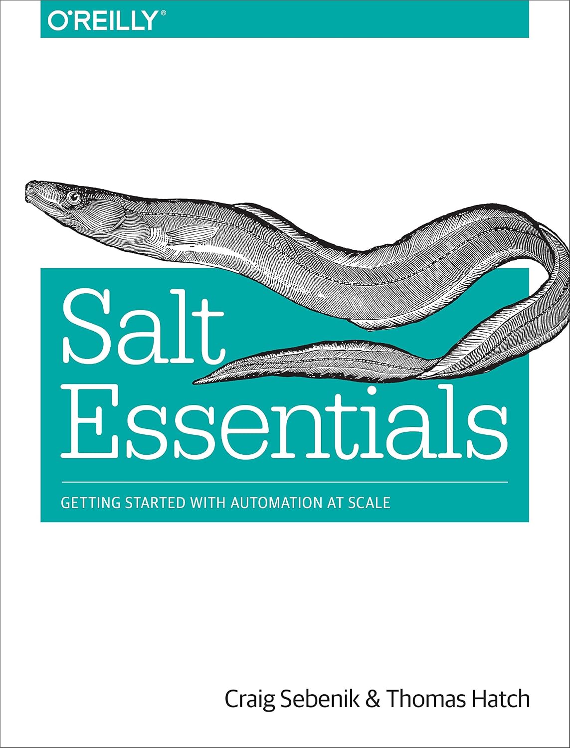ler totalmente Salt Essentials: Getting Started with Automation at Scale (English Edition)