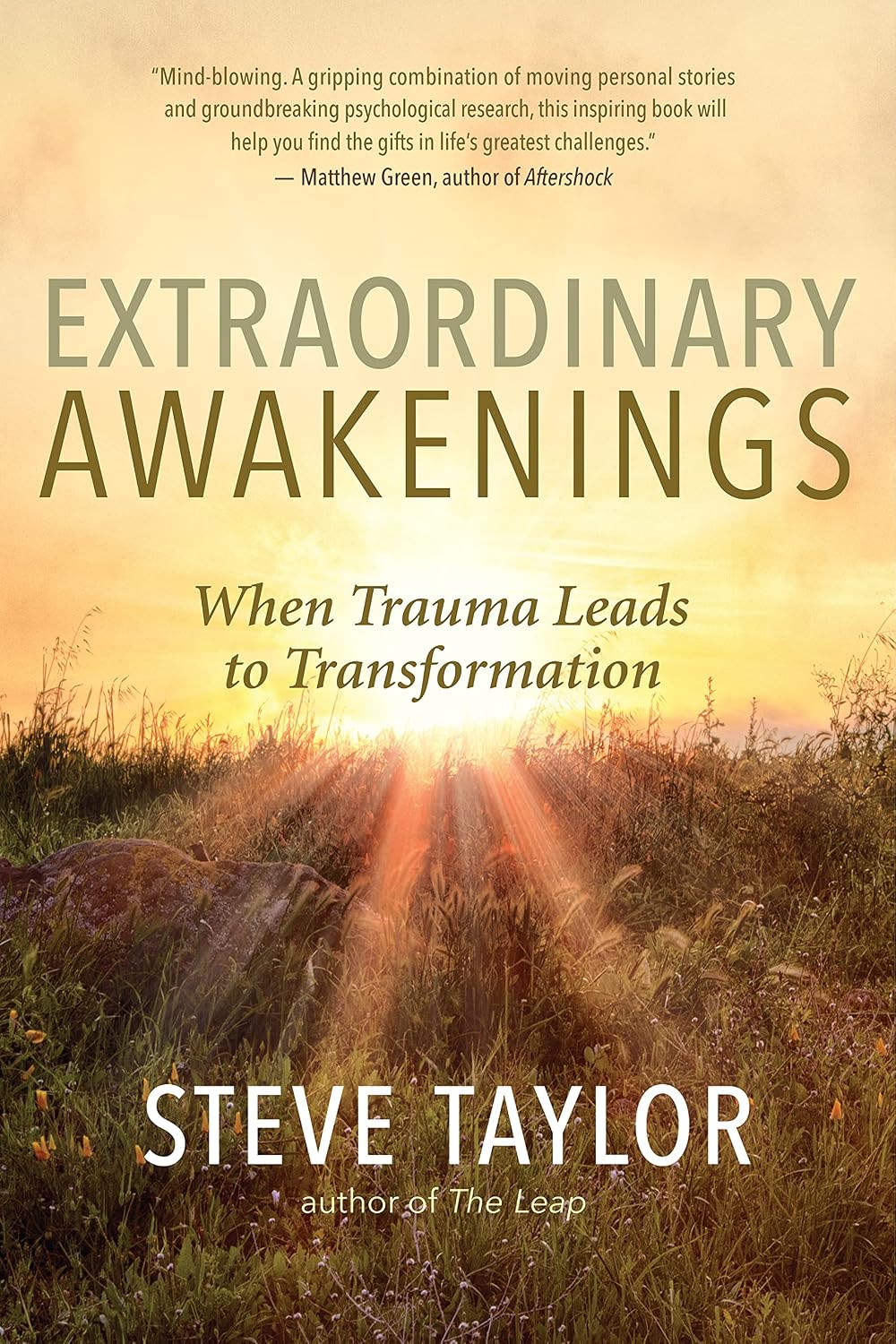 capítulo por capítulo baixar Extraordinary Awakenings: When Trauma Leads to Transformation