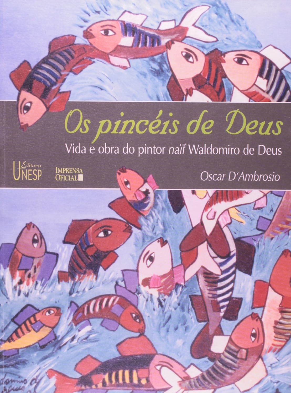Os pincéis de Deus: Vida e obra do pintor Naif Waldomiro de Deus baixar o livro de graça