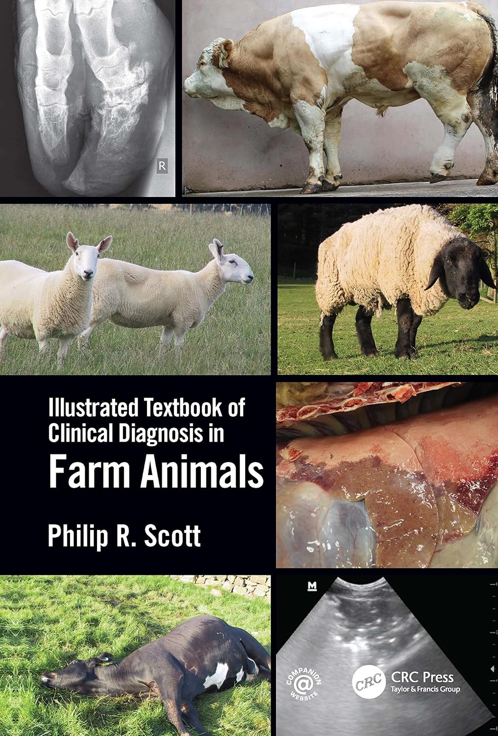 capítulo por capítulo baixar Illustrated Textbook of Clinical Diagnosis in Farm Animals