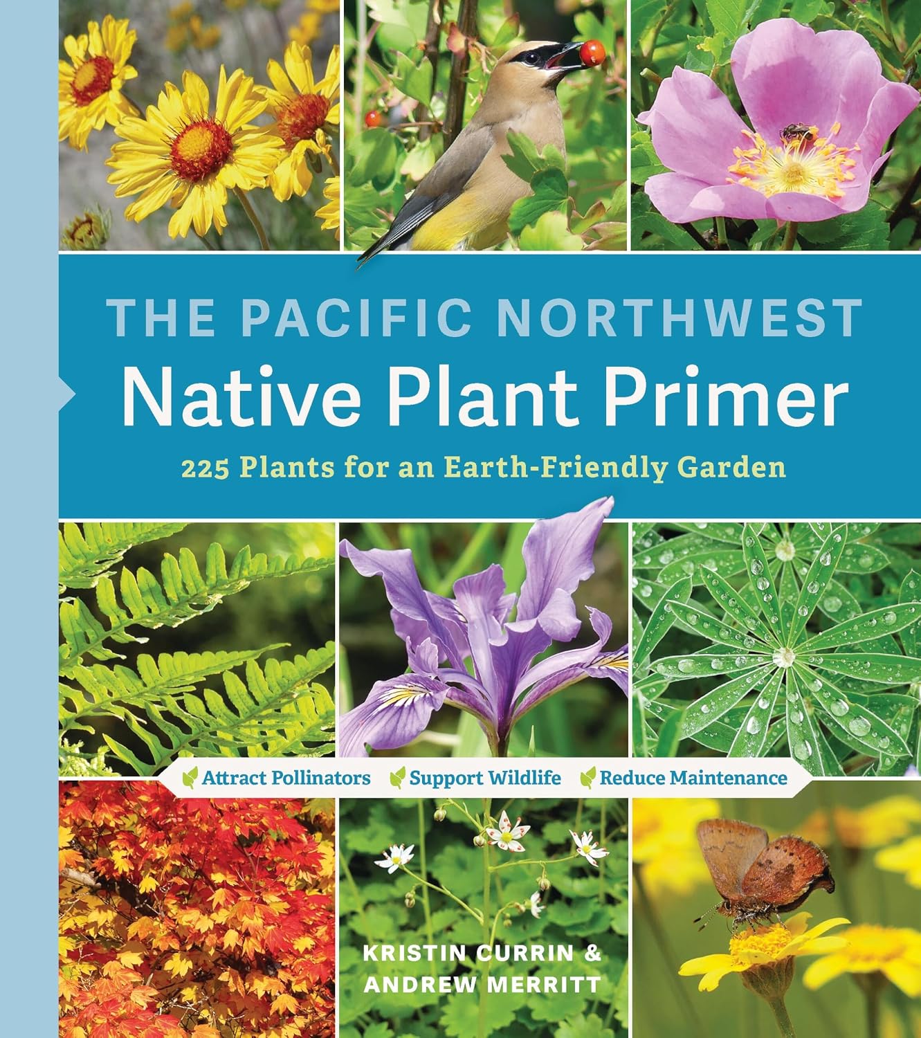 The Pacific Northwest Native Plant Primer: 225 Plants for an Earth-Friendly Garden (English Edition) baixar o livro de graça
